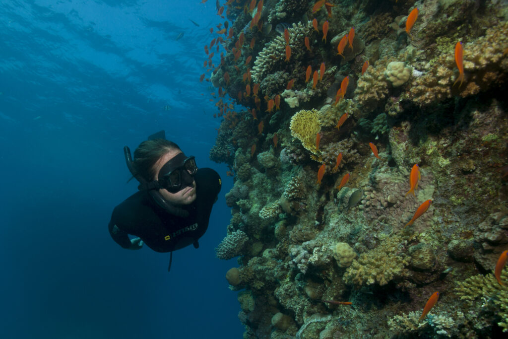 The Bloodshift is an effect of the diving reflex and ensures that oxygen is saved and that there is no danger to the brain even during longer apnea phases.