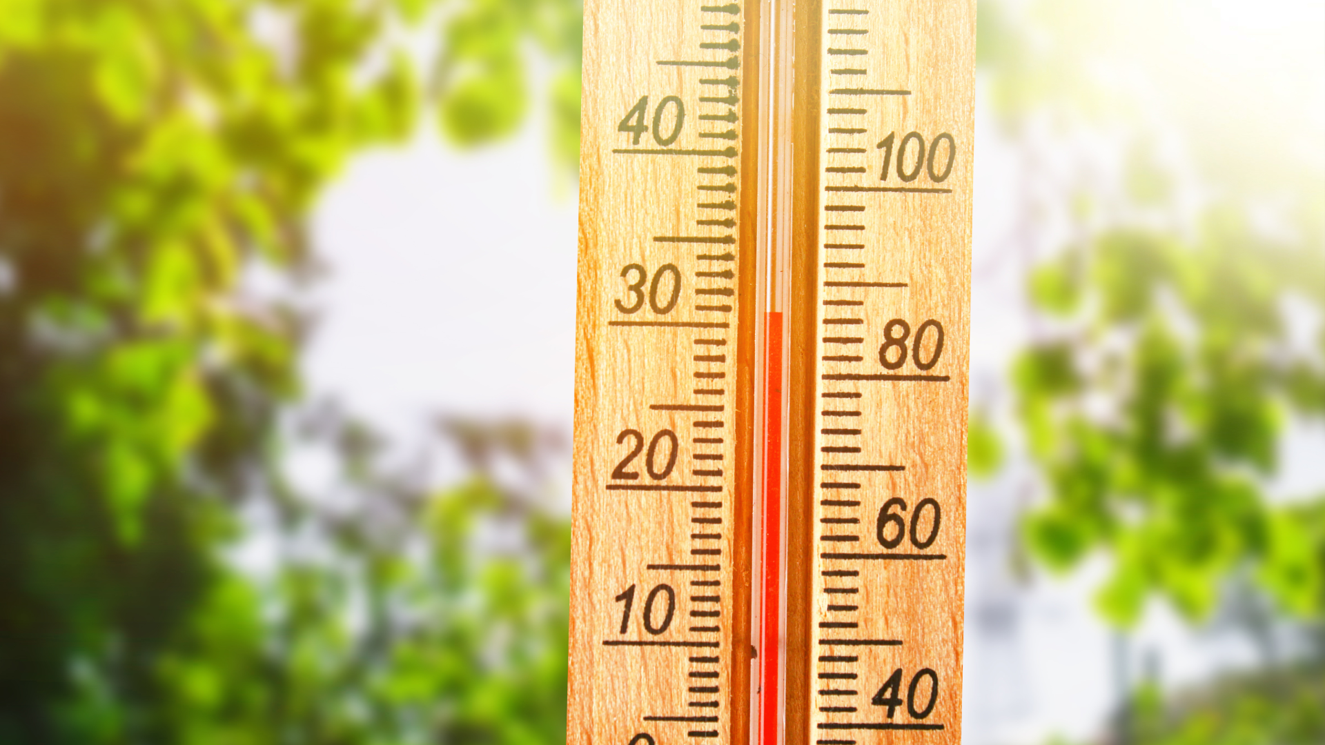 A close-up of a wooden outdoor thermometer indicating a high temperature, with a blurred green leaf background and bright sunlight - the perfect weather to enjoy your summer value card.