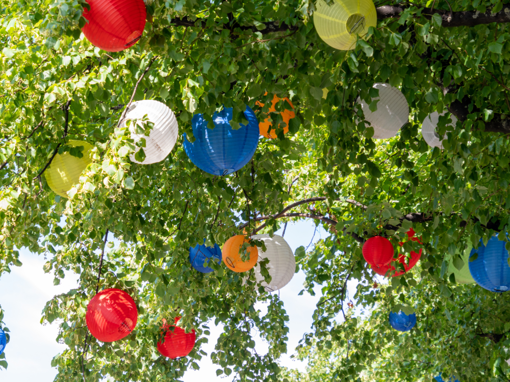 Colorful paper lanterns hang from the branches of the trees amid the lush greenery, creating a festive and vibrant outdoor atmosphere - perfect for celebrating with a summer value card under natural daylight.